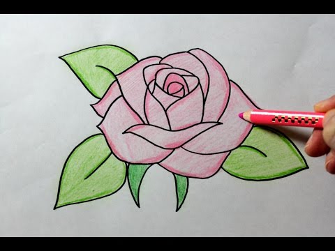 Drawing A Rose Youtube