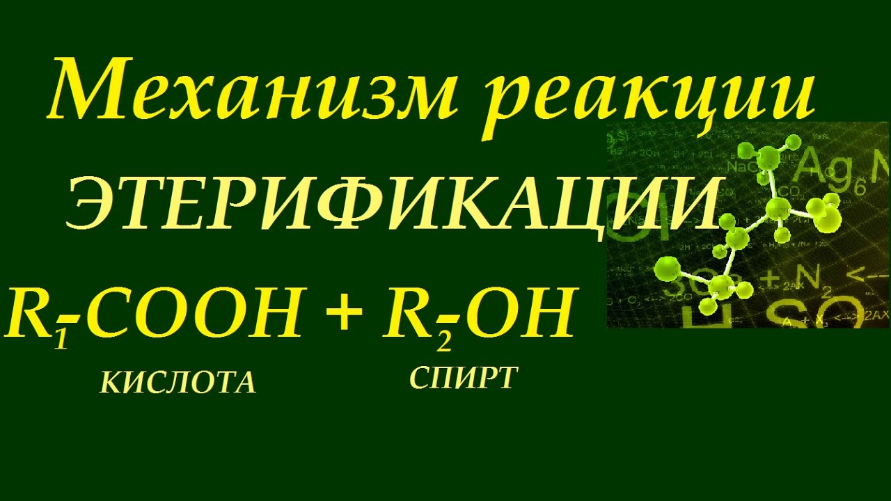 Органика. Механизм реакции этерификации (карбоновая кислота + спирт ...