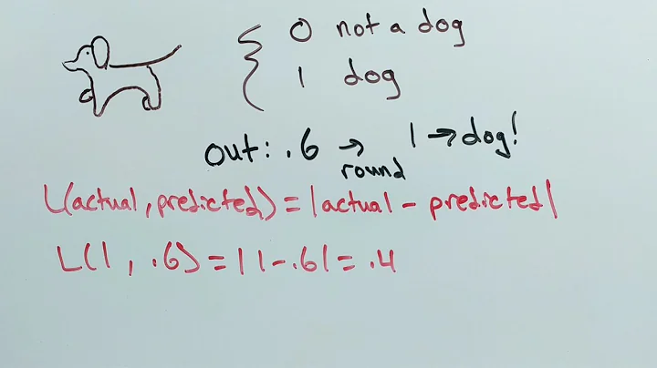 Loss functions: What are they?
