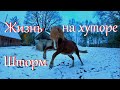 О козах, собаках и погодных катаклизмах // Жизнь на хуторе