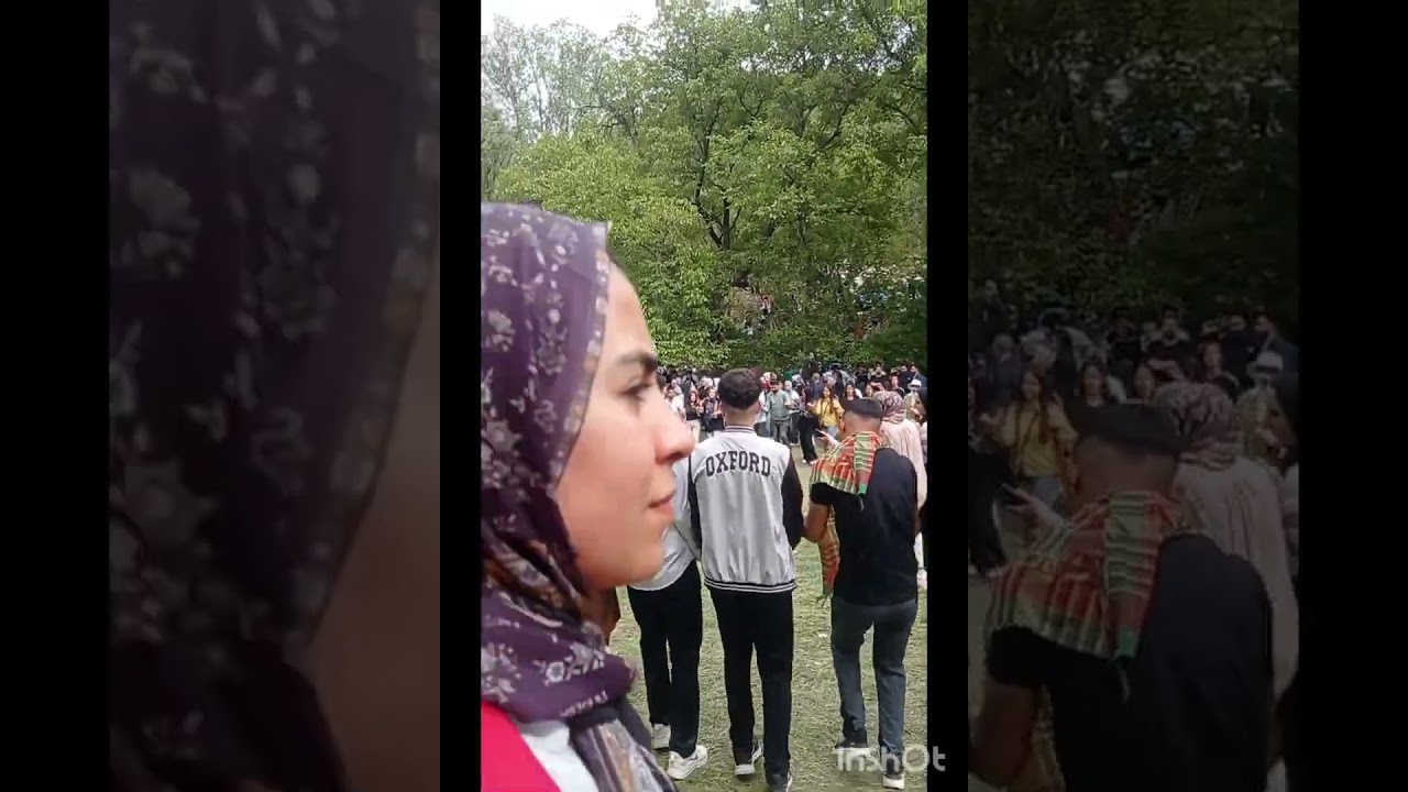 timok aşiret timok festivali