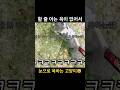 눈으로욕하는 고양이😹😂#shorts #shortsvideo #funnycat #catthings #catlife #stupide