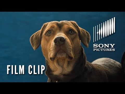 A DOG&#039;S WAY HOME Clip - &quot;New Friends&quot; (In Theaters Thursday)
