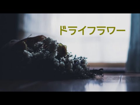 【低音女子が歌ってみた】ドライフラワー【tone】