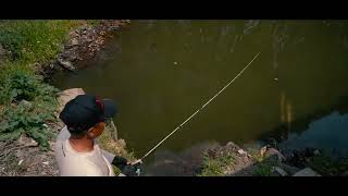 PURELURE REFLEX ARC Flick Cast 0.5-12g BFS Rod 6FT Toray Carbon T1100 FUJI SIC Ring Full Cork Reel..