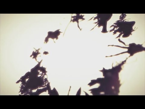 【MAD】SINoALICE(シノアリス)×乙女ゲーム(大正×対象アリス)