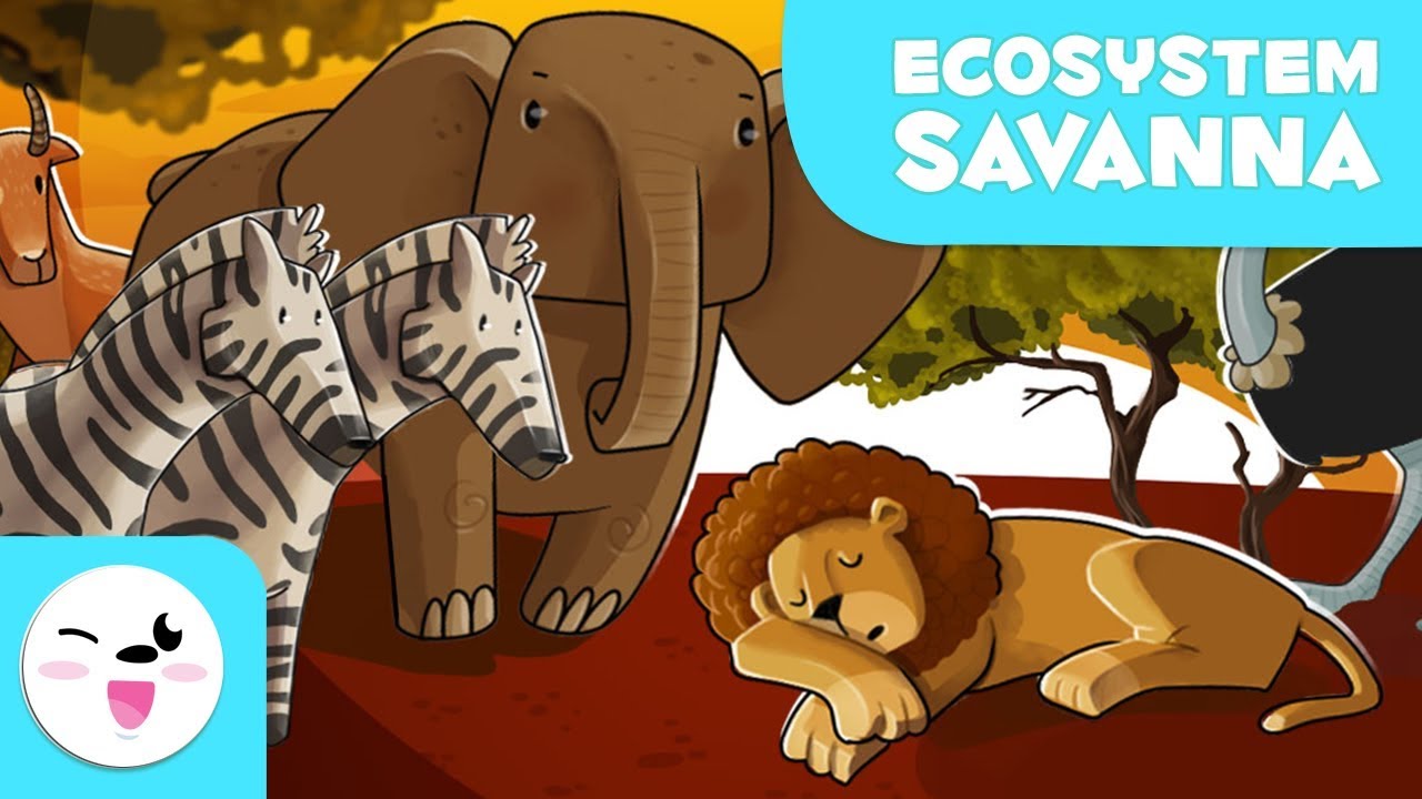 Animals of the Savanna - Learning Ecosystems for Kids - YouTube