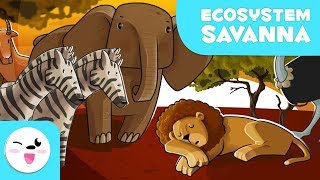 Animals of the Savanna - Learning Ecosystems for Kids