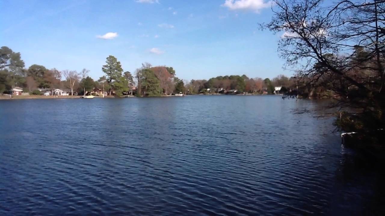Cue the Blue Heron on Lake Joyce, Virginia Beach YouTube