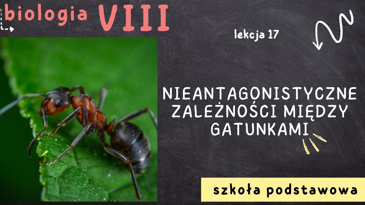 Biologia 8 [Lekcja 17 - Nieantagonistyczne zależności między gatunkami