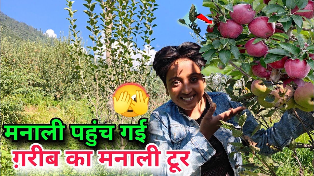 मनाली में मिला बहुत. बड़ा सेव का बगीचा sad couple|#manali #couple #vlog