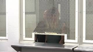 Information Man accused of shooting, killing roommate in Piedmont appears in bond court Guide