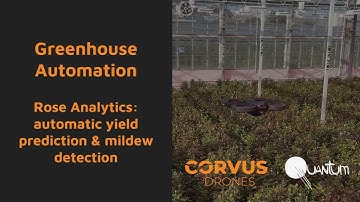 Rose yield prediction and powdery mildew detection | 100% automated