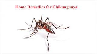 Home Remedies for Chikungunya