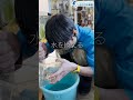 水族館飼育員のゆるゆるVlog①＠しながわ水族館【魚類】