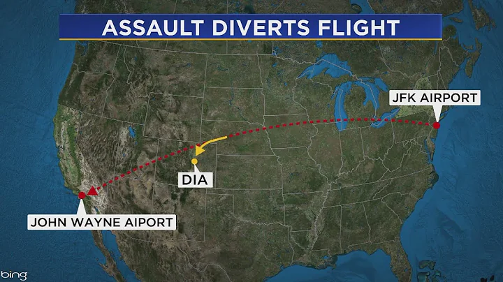 Flight Attendant Union President Calls For Change After Assault On Diverted American Airlines Flight