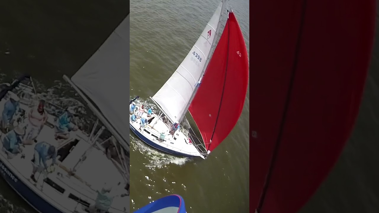 Spinnaker Chase on Galveston Bay #shorts #sailing