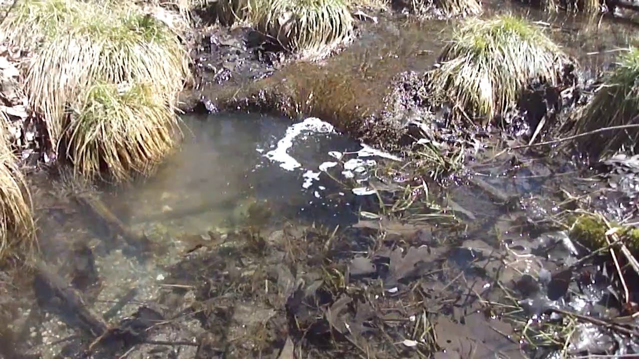 Babbling Brook Water Stream - Most Peaceful Sound