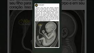 O Vínculo De Uma Mãe Dura Para Sempre