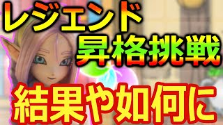【ドラクエタクト】鼻どんレジェンド昇格チャレンジ！朝チャレの結果や如何に！