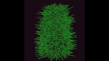 "Shake it down before you shake it up" #houdini #visualart #glitch 4kp60