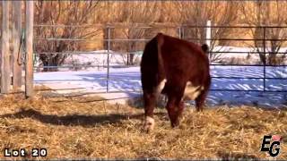 Lot 20 ARSK 54B