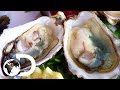 OYSTERS | How It's Made