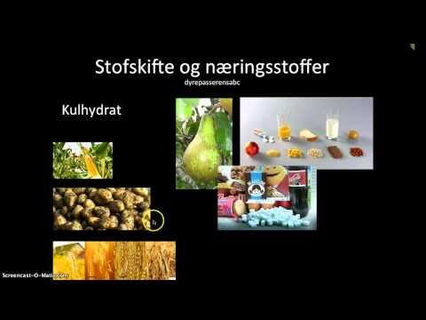 Video: Ernærings- Og Stoffskifteforstyrrelser