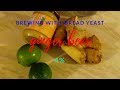 Bread yeast  ginger beer 4 part 1