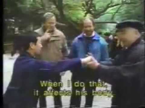Update Qi-Gong Meister demonstriert das Projizieren von Energie 1/2