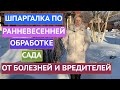 ЧЕМ ОБРАБОТАТЬ САД РАННЕЙ ВЕСНОЙ! ПРЕПАРАТЫ, КОТОРЫЕ БУДУТ РАБОТАТЬ ДАЖЕ ПРИ НИЗКИХ ТЕМПЕРАТУРАХ!