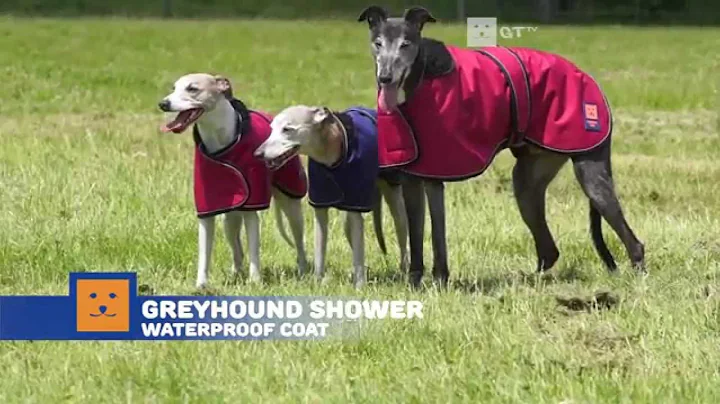 Greyhound Shower Waterproof Coat