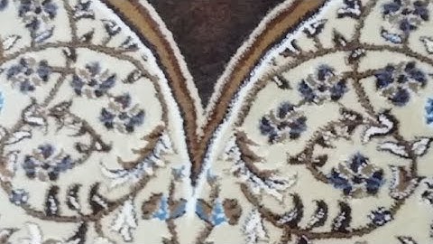 القارئ الشيخ / محمود صابر صلاة العشاء 19رمضان 1439