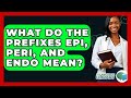 What Do The Prefixes Epi Peri And Endo Mean The Language Library What Do The Prefixes Epi Peri And Endo Mean The Language Library