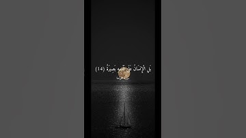بَلْ يُرِيدُ الْإِنسَانُ لِيَفْجُرَ أَمَامَهُ (5) || سورة القيامة || علي جابر