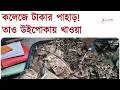Surendranath College-এ টাকার পাহাড়! ব্যাগ ব্য়াগ টাকা সব উইয়ে খেল | Zee 24 Ghanta