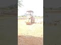 #roadroller #newpetrolpump #rrpandian #theni #roller
