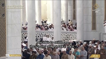 تلاوة ليلة 10 رمضان 1446 هـ  من صلاة التراويح من المسجد الحرام | الشيخ الوليد الشمسان