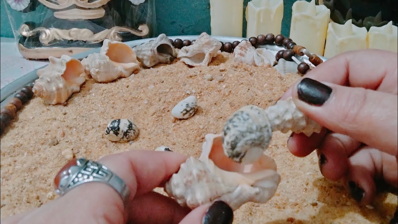 برج(العقرب)ضع النيه🧐علي الودع وسيخبرك بكل شيء 👌🏿 علي جميع الجهات الجديد 👉 هنا لمدة ثلاثة أشهرمن الان