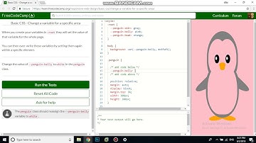 Basic CSS   Change a variable for a specific area free code camp   Dani