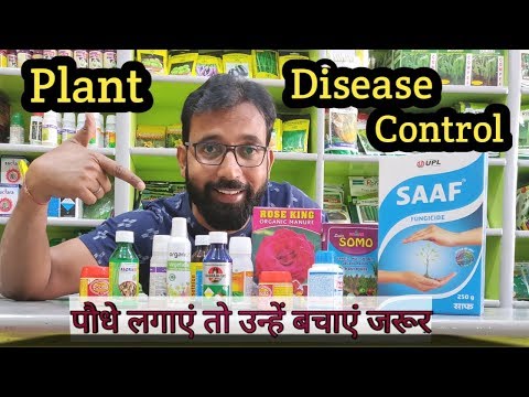 वीडियो: बगीचे में कौन सी दवाएं उपयोगी हैं?