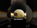 L'ANTIMATIÈRE grâce à des MOUTONS ? 😱 #science