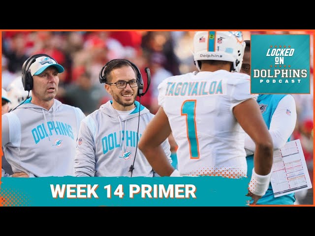 dolphins week 14