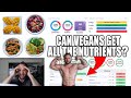 What I Eat To Stay Fit & Healthy | Vegan Nutrient Analysis + MACRO'S!