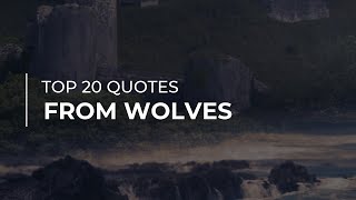 TOP 20 Quotes from Wolves | Daily Quotes | Motivational Quotes | Quotes for You