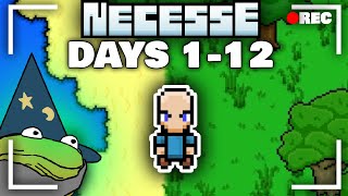 Necesse, Surviving Days 1-12