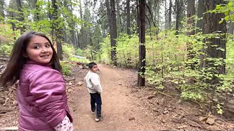 Mini TRIP TO BIG TREES