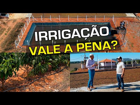 Vídeo: Quando é a época de irrigação?