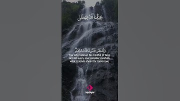 🌿 صوت قرآني عذب يغمر القلب بالسكينة | للقارئ عبدالله بصفر