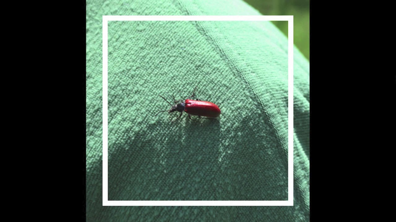 Human Kitten - On the Dawn of the Final Day